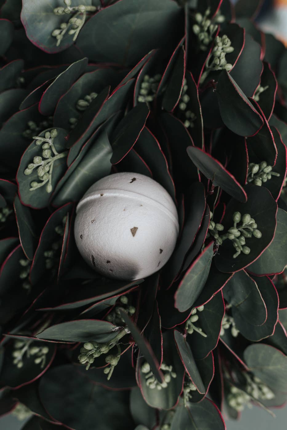 Eucalyptus Bath Bomb