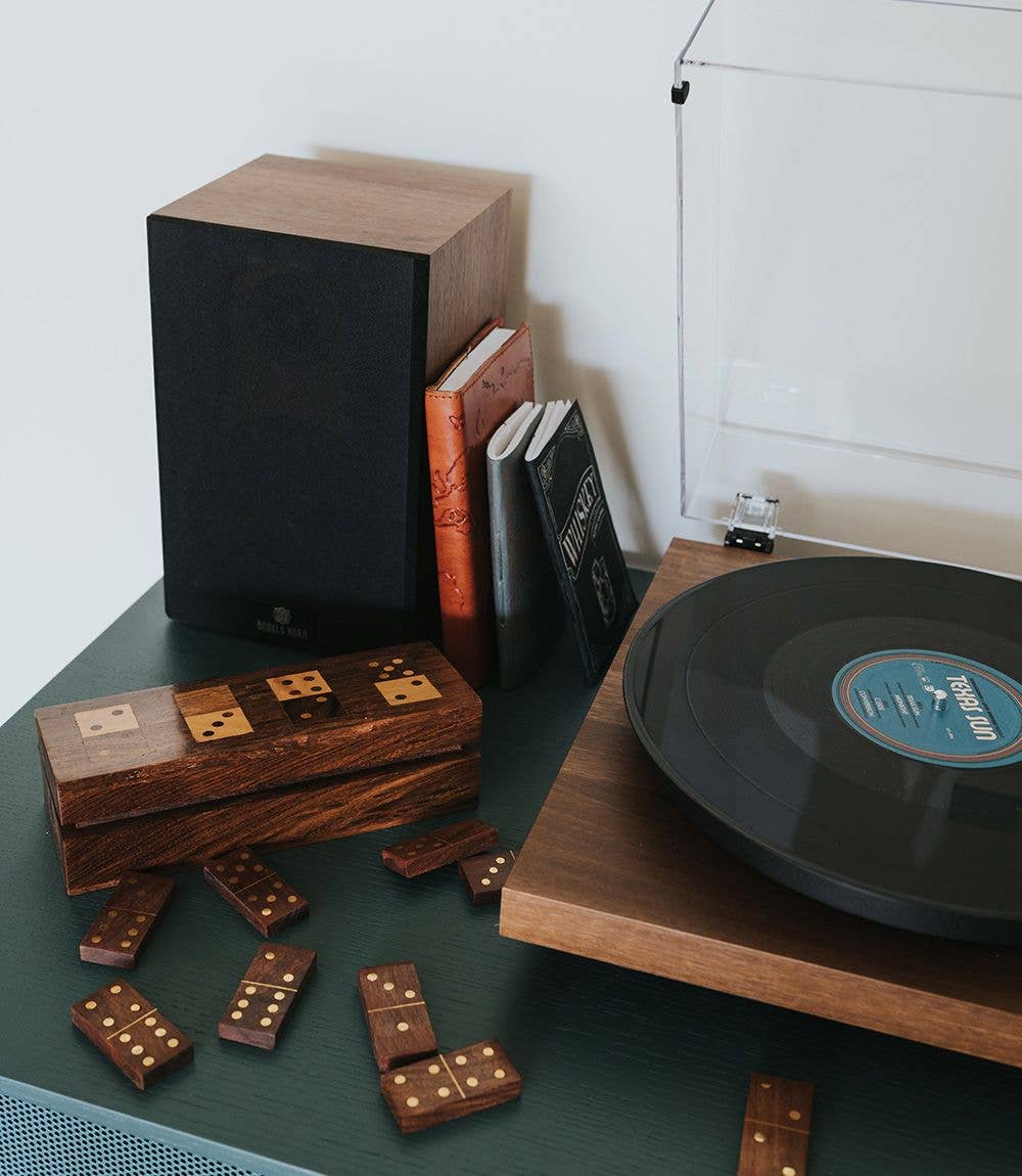 Wooden Domino Game Set